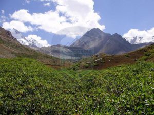 Lower Loiba meadows