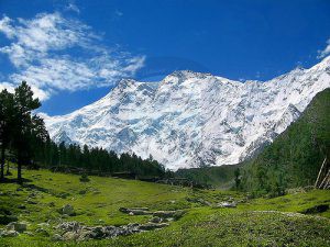 Nanga Parbat Fairy Meadows