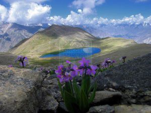 View of Rush Lake ( Rush Lake trek)
