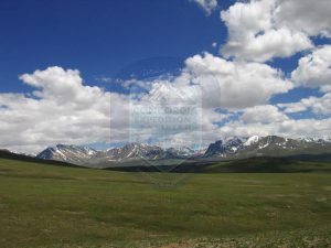 Doesai Plains 
