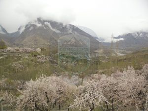 A view of Karimabad in Blossom Season 