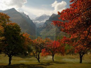 Hunza Valley View of Diran peak