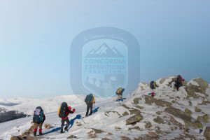 Expedition on the move