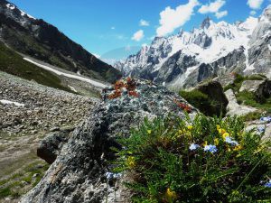 From Dalsangpa down