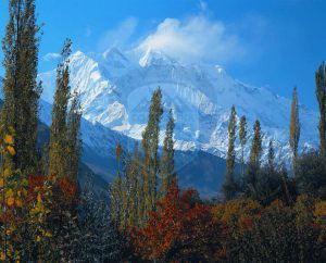Rakaposhi (7788m) view from Hunza Valley